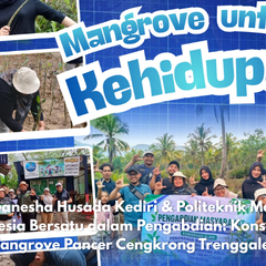 Konservasi Mangrove Pancer Cengkrong Trenggalek
