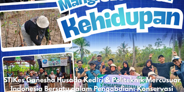 Konservasi Mangrove Pancer Cengkrong Trenggalek